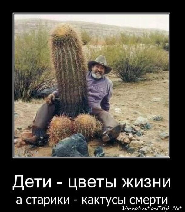 Демотиваторы, часть 79. (45 фото)