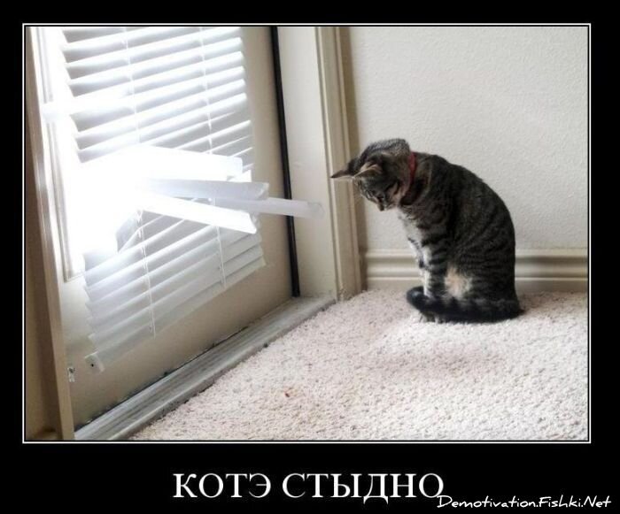 Смешной демотиватор от zubrilov за 20.10.2010 №59954