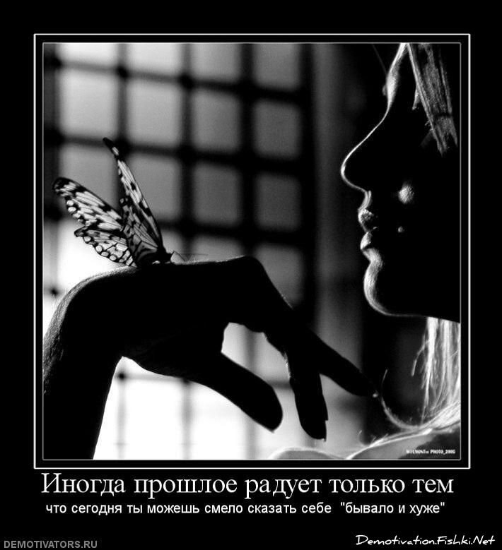 Демотиваторы, часть 81. (105 фото)