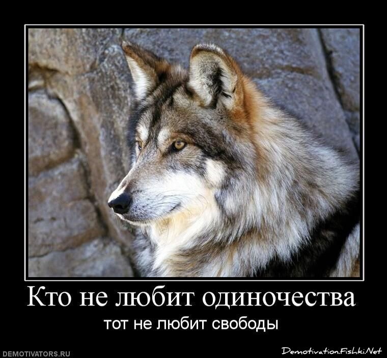 Демотиваторы, часть 81. (105 фото)
