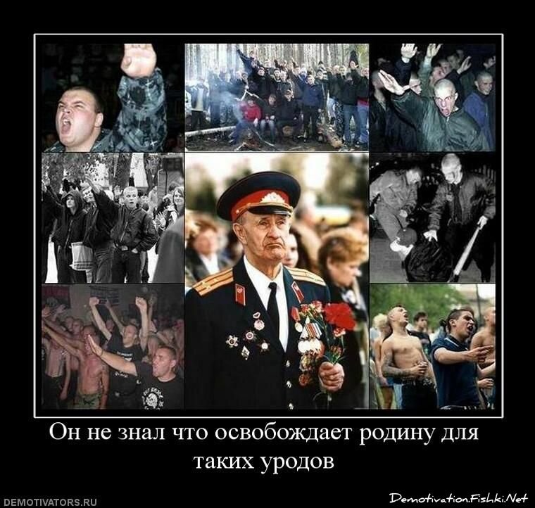 Смешной демотиватор от zubrilov за 22.10.2010 №60009