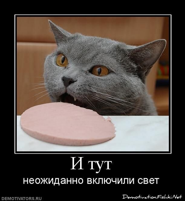 Смешной демотиватор от zubrilov за 22.10.2010 №60023