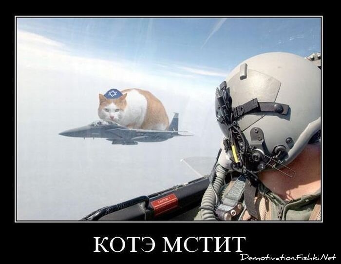 Демотиваторы, часть 81. (105 фото)