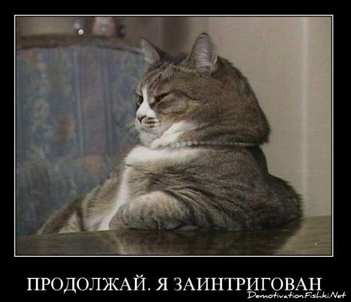 Смешной демотиватор от zubrilov за 22.10.2010 №60036