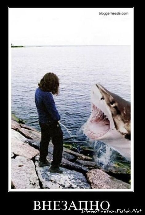 Смешной демотиватор от zubrilov за 22.10.2010 №60039