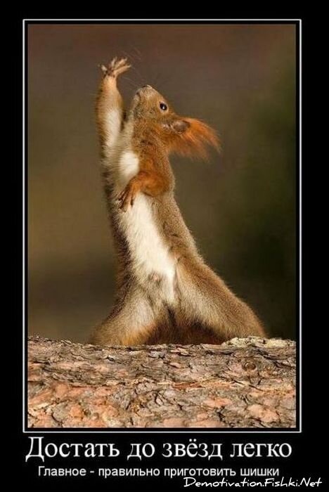 Демотиваторы, часть 81. (105 фото)