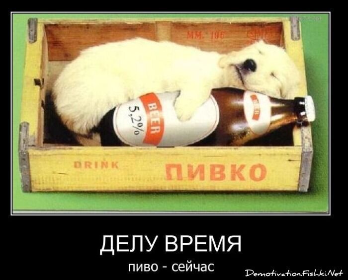 Демотиваторы, часть 81. (105 фото)