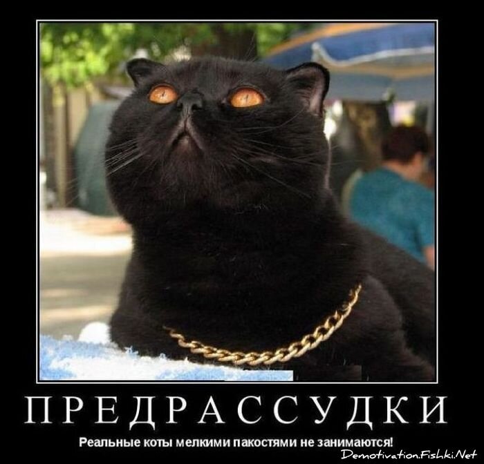 Смешной демотиватор от zubrilov за 22.10.2010 №60050