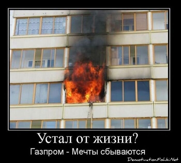 Демотиваторы, часть 81. (105 фото)