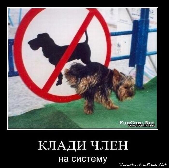 Смешной демотиватор от zubrilov за 22.10.2010 №60055