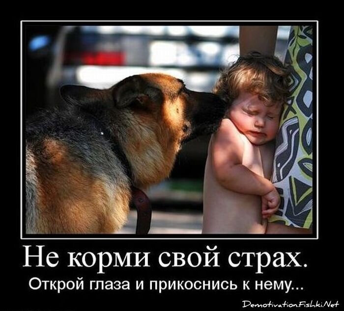 Смешной демотиватор от zubrilov за 22.10.2010 №60065