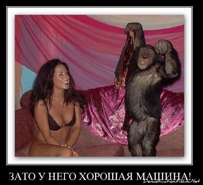 Смешной демотиватор от zubrilov за 22.10.2010 №60068