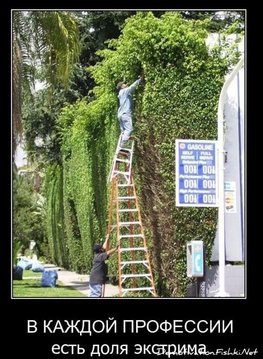 Демотиваторы, часть 81. (105 фото)