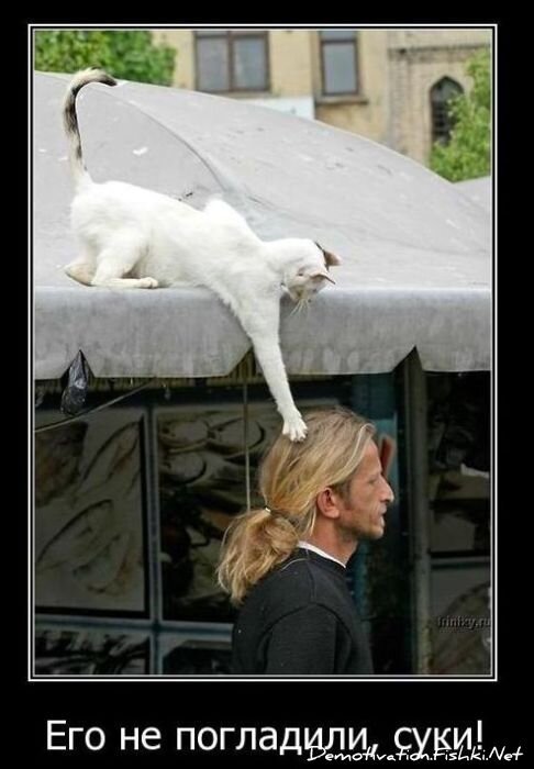 Смешной демотиватор от zubrilov за 25.10.2010 №60107
