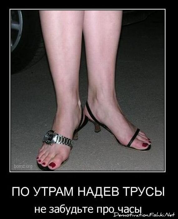 Смешной демотиватор от zubrilov за 25.10.2010 №60112