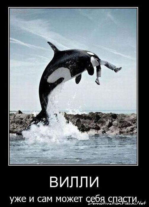 Смешной демотиватор от zubrilov за 25.10.2010 №60118