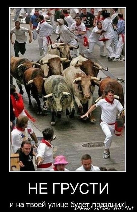 Смешной демотиватор от zubrilov за 25.10.2010 №60132