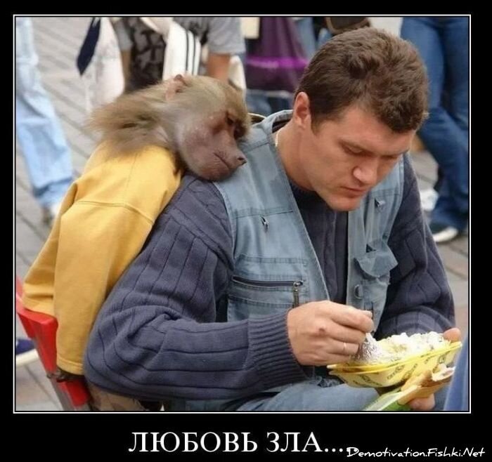 Смешной демотиватор от zubrilov за 25.10.2010 №60133