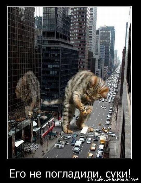 Смешной демотиватор от zubrilov за 25.10.2010 №60144
