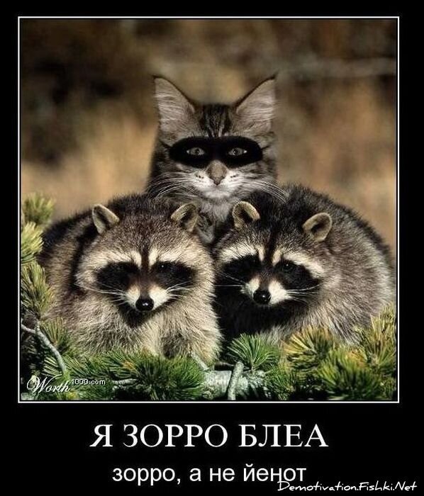 Смешной демотиватор от zubrilov за 25.10.2010 №60145
