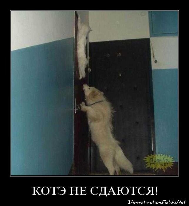 Смешной демотиватор от zubrilov за 27.10.2010 №60171