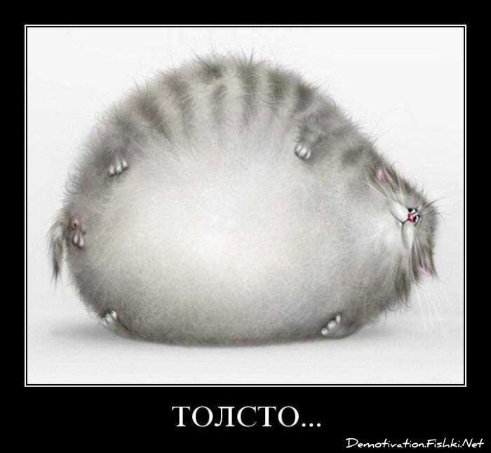 Демотиваторы, часть 83. (77 фото)