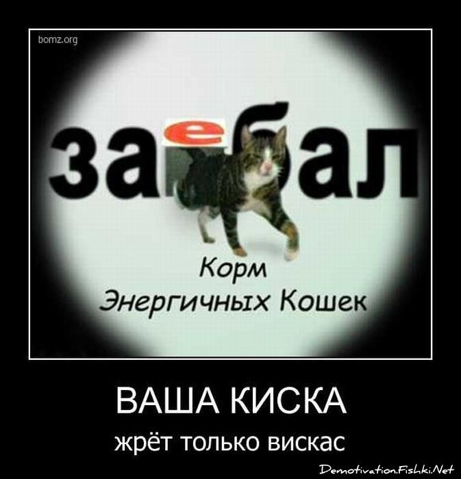 Смешной демотиватор от zubrilov за 27.10.2010 №60181