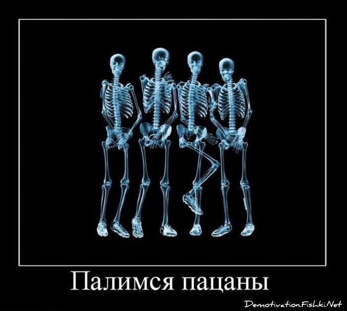 Смешной демотиватор от zubrilov за 27.10.2010 №60184