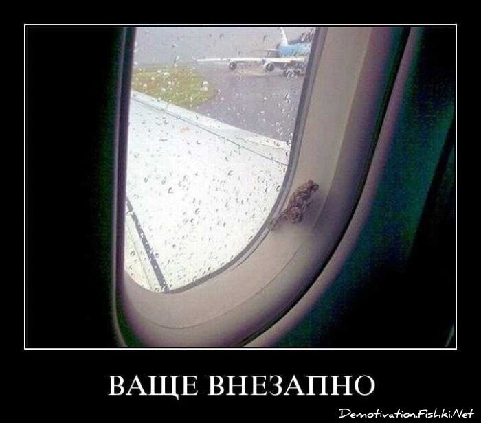 Смешной демотиватор от zubrilov за 27.10.2010 №60185