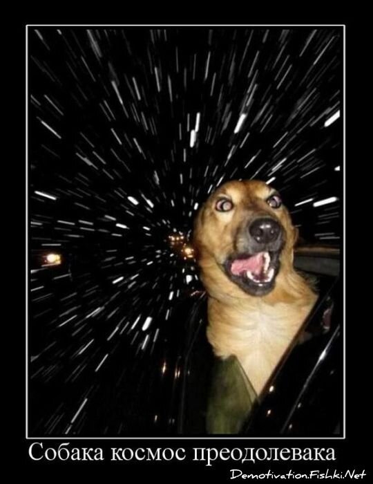 Смешной демотиватор от zubrilov за 27.10.2010 №60189