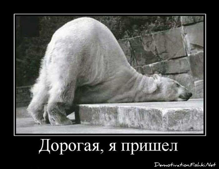 Демотиваторы, часть 83. (77 фото)