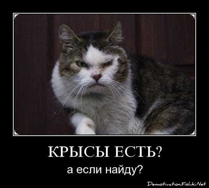 Смешной демотиватор от zubrilov за 27.10.2010 №60195