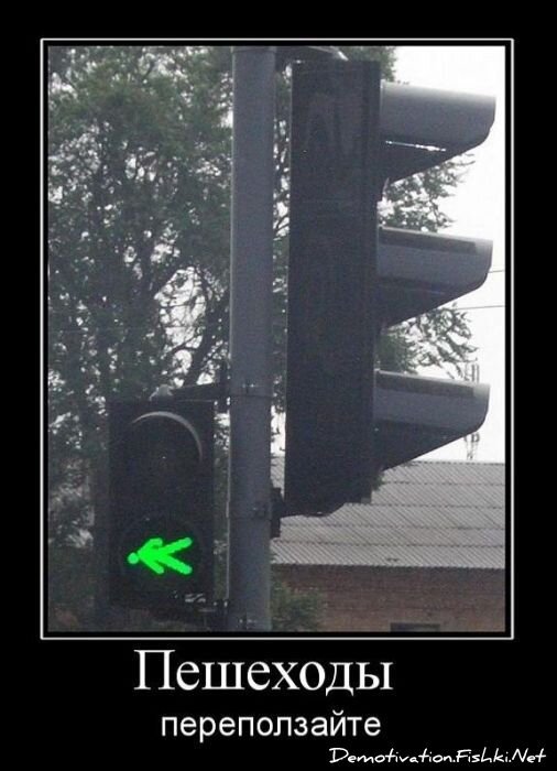 Смешной демотиватор от zubrilov за 27.10.2010 №60196