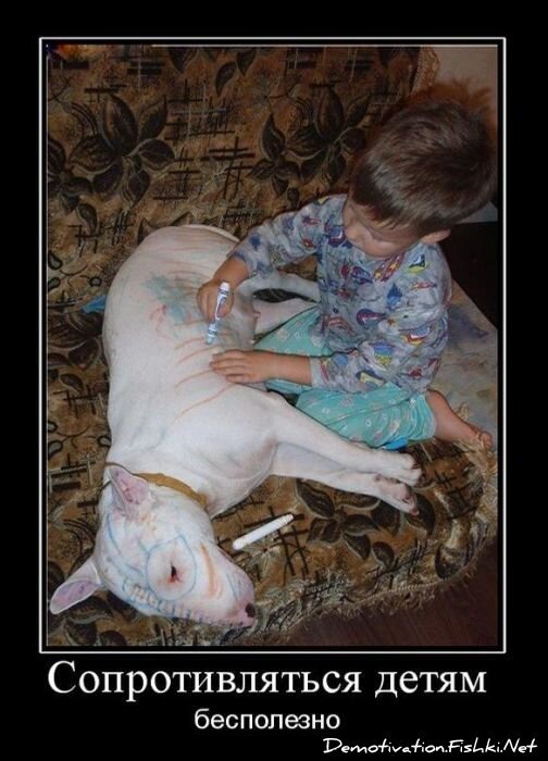 Смешной демотиватор от zubrilov за 27.10.2010 №60213