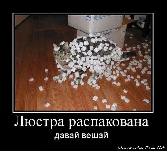 Смешной демотиватор от zubrilov за 27.10.2010 №60214