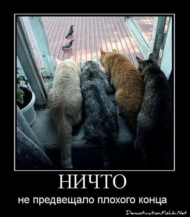 Смешной демотиватор от zubrilov за 27.10.2010 №60221