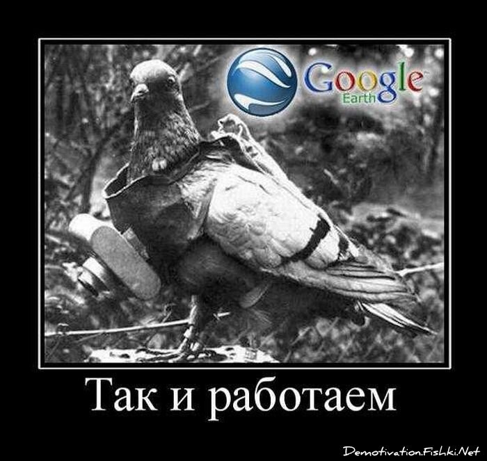 Смешной демотиватор от zubrilov за 27.10.2010 №60233