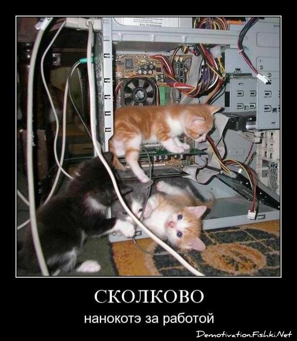 Демотиваторы, часть 83. (77 фото)