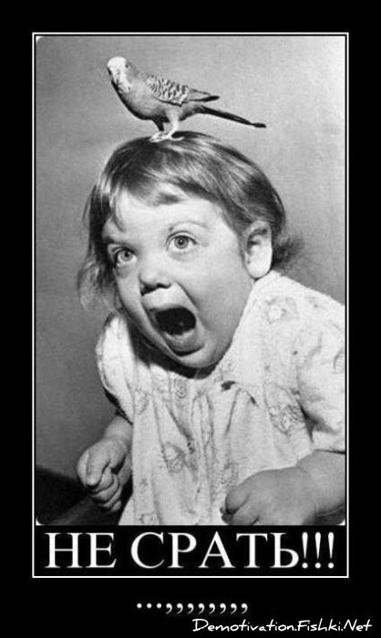 Смешной демотиватор от zubrilov за 29.10.2010 №60276