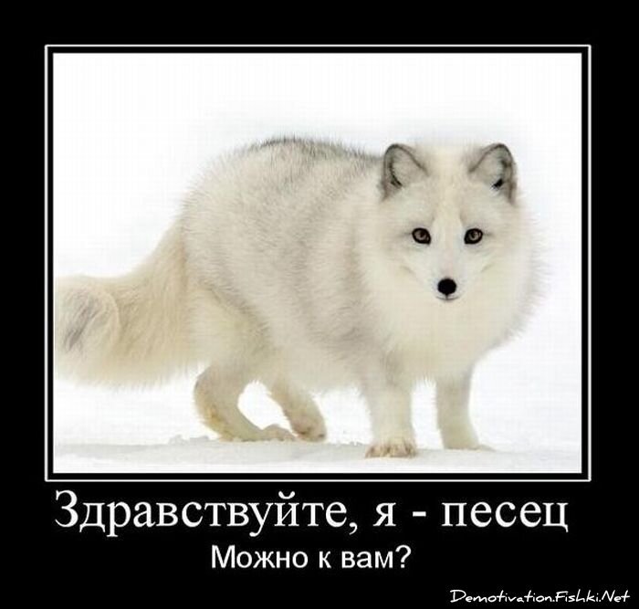 Демотиваторы, часть 84. (109 фото)