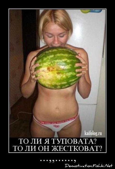 Смешной демотиватор от zubrilov за 29.10.2010 №60285