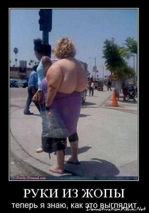 Смешной демотиватор от zubrilov за 29.10.2010 №60288