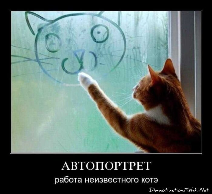 Смешной демотиватор от zubrilov за 29.10.2010 №60303