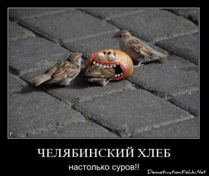 Демотиваторы, часть 84. (109 фото)