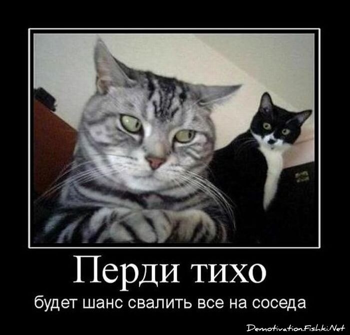 Смешной демотиватор от zubrilov за 29.10.2010 №60309