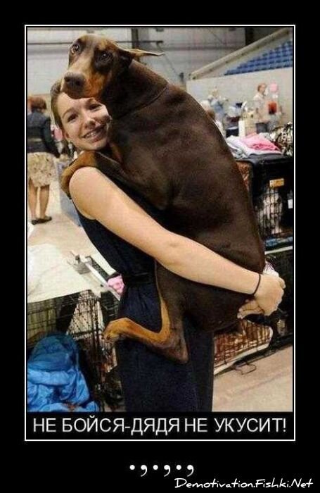 Смешной демотиватор от zubrilov за 29.10.2010 №60311