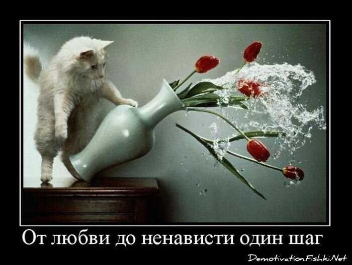 Смешной демотиватор от zubrilov за 29.10.2010 №60315