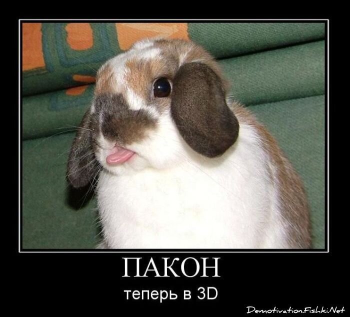 Смешной демотиватор от zubrilov за 29.10.2010 №60316