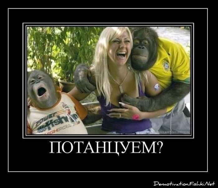 Смешной демотиватор от zubrilov за 29.10.2010 №60324
