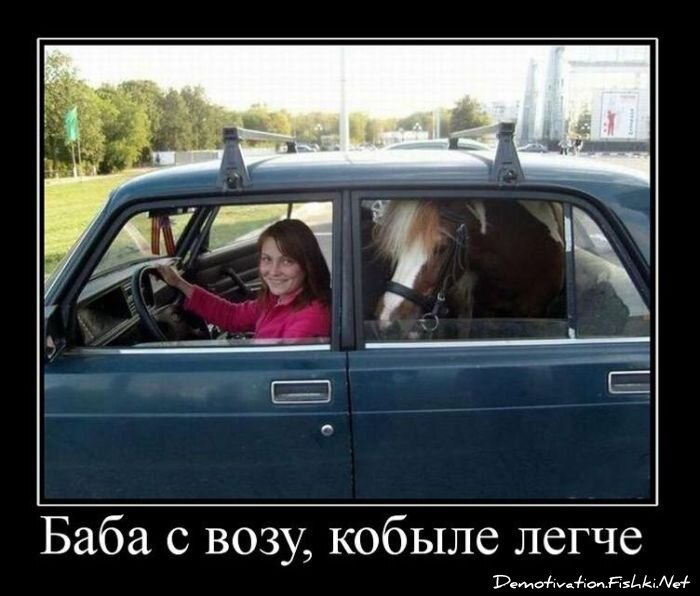 Смешной демотиватор от zubrilov за 29.10.2010 №60326